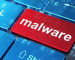 What is Malware