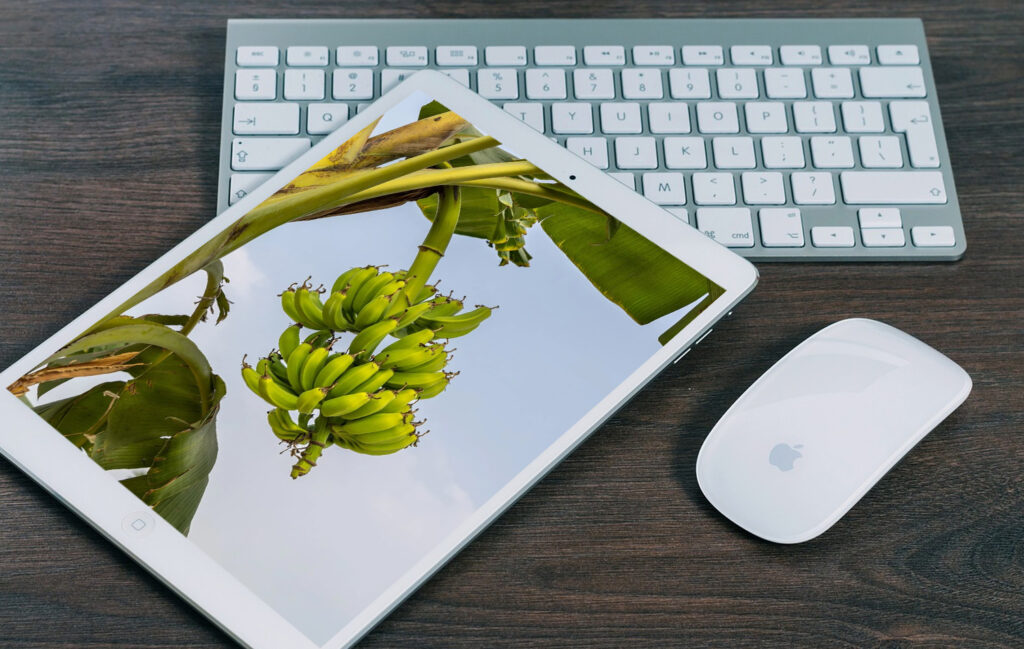 How to Change Wallpaper on iPhone iPad and iPad Mini scaled How to Change Wallpaper on iPhone, iPad and iPad Mini