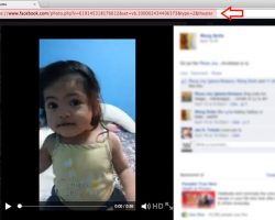 Download Facebook Video