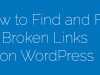 How to Detect and Fix Broken Links on WordPress Website