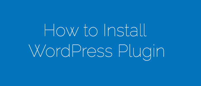How to Install WordPress Plugin