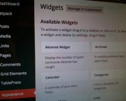 How to Customize WordPress widget