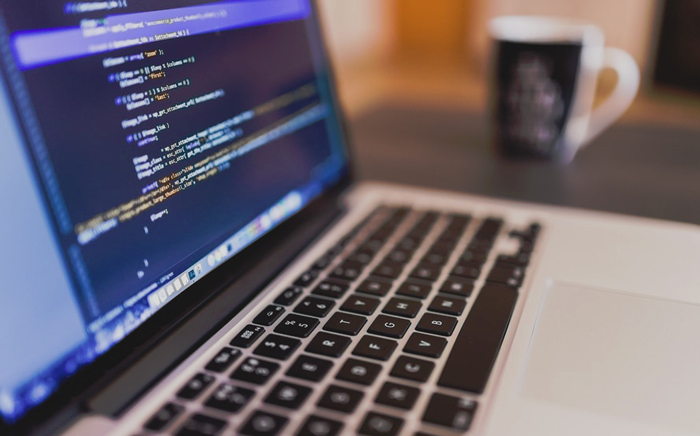 Programming make you rich