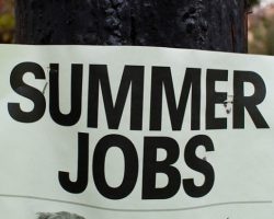 summer jobs