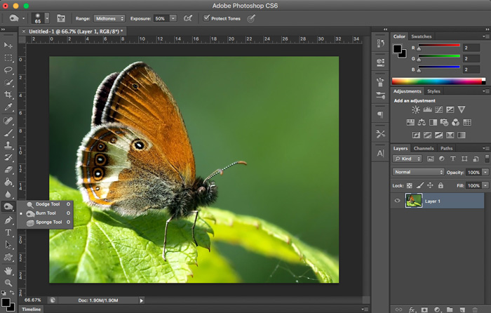 Burn Tool Photoshop Tutorial: Burn Tool