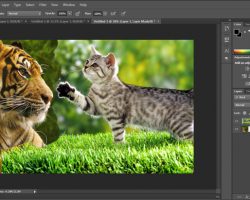 Photoshop Tutorial: Understanding Layer Mask