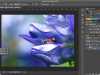 Photoshop Tutorials: The Dodge Tool