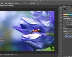 Photoshop Tutorial: Dodge Tool