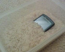 Rice on wet smartphone