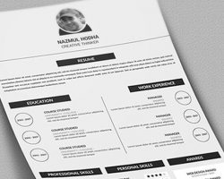 functional resume template