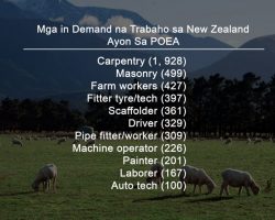 4000+ Work in New Zealand