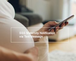 SSS-Maternity-Notification-Via-SMS