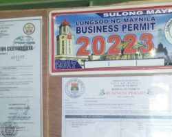 How-to-get-Mayors-Permit