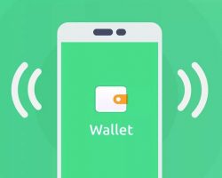 Wallet Financial Application