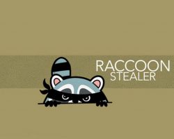 Raccoon-Infostealer