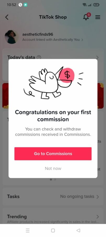 How to Earn Money in Tiktok 17