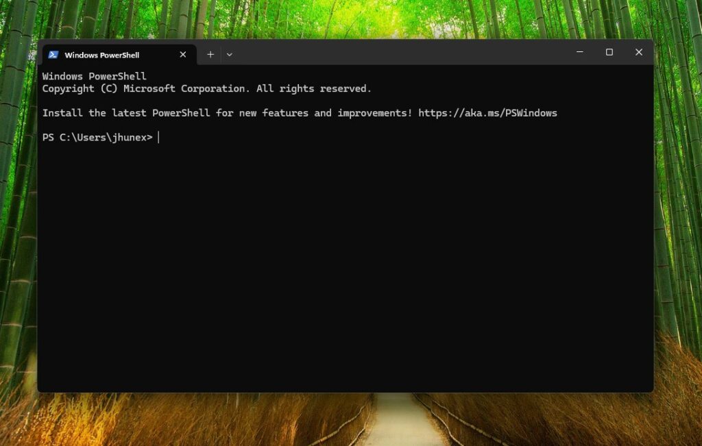 Windows Terminal - Interface